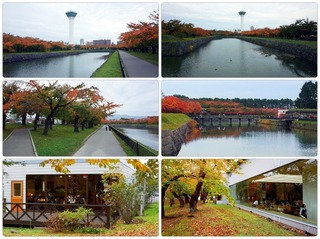 autumnpark.jpg