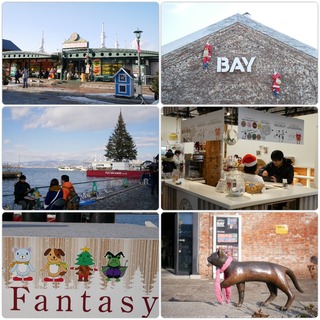 bay.jpg