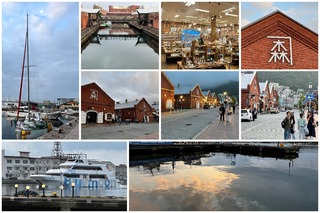 bay7.jpg