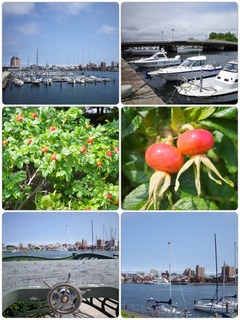 bay720.jpg