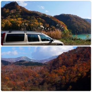 fall.jpg