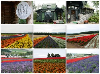 furano.jpg