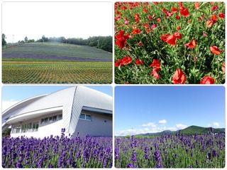 furano2015.jpg
