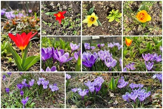 garden12.jpg