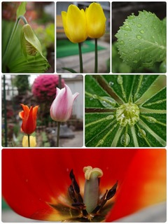 garden15.jpg