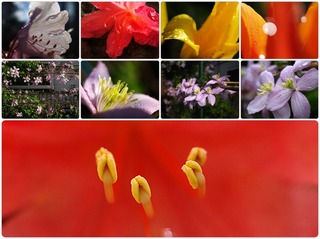 garden21.jpg