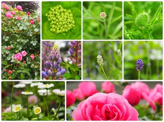 garden25.jpg