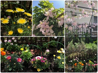 garden26.jpg