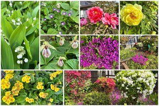 garden27.jpg