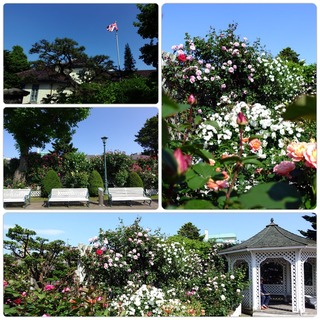 garden28.jpg