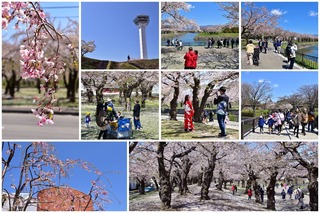goryokaku271.jpg