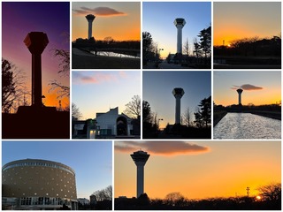 gotower.jpg