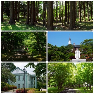 green7.jpg