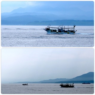 ika.jpg