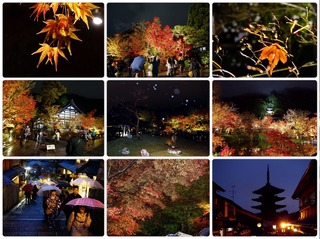 kyoto.jpg