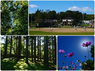 park.jpg