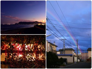 rainbow2.jpg