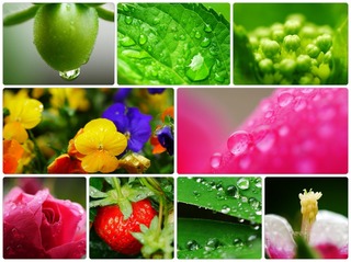 raindrop.jpg