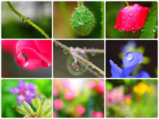 rainygdn.jpg
