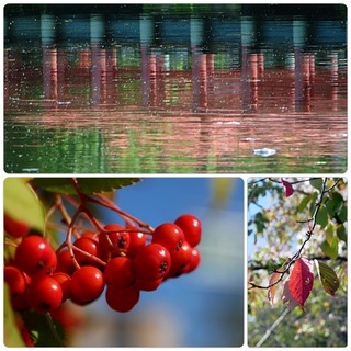 red.jpg