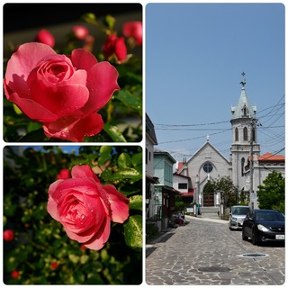 rose23.jpg