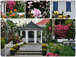 rosegarden.jpg