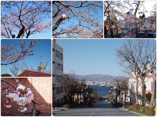 sakura25.jpg