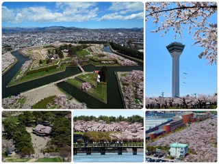 sakura27.jpg