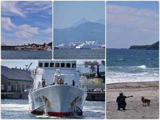sea78.jpg