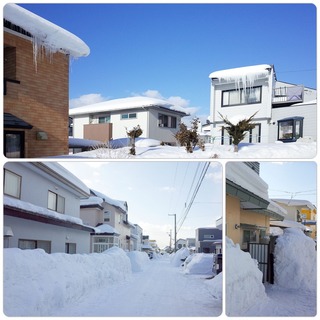 snow.jpg