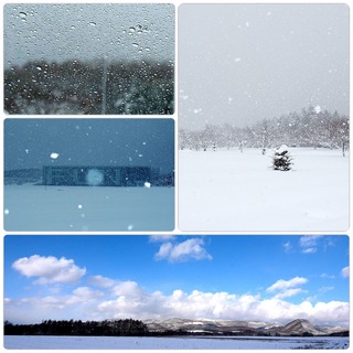 snow25.jpg