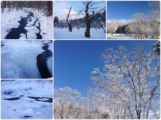 snowandice.jpg