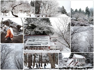 snowdy2.jpg