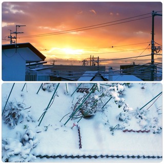 snowmrg.jpg