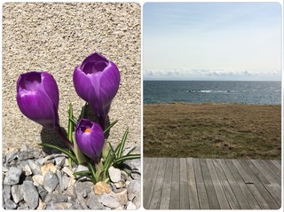 spring.jpg
