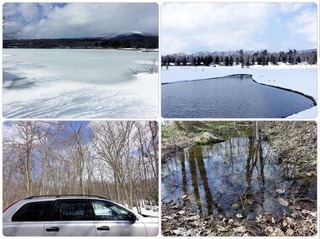 spring.jpg