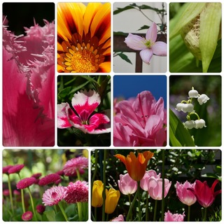 springgdn.jpg