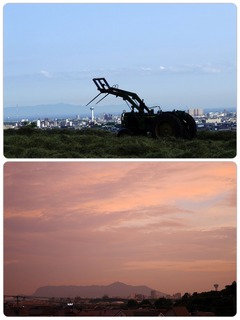 tower.jpg