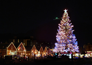 tree0212010113.jpg